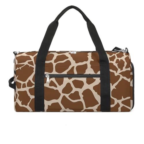 WobO L X|[cobO {XgobO _btobO e  ϐ jp 3way Cws