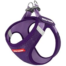 EzyDog FORMFIT Dog Harness for Small Sized Dog - All Weather Breathable Mesh Small Dog Harness with Reflective Trim, Easy Hook & Loop Closure, Sturdy Buckle, D-Ring Purple, L
