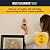 Zircon MultiScanner A250 All-In-One Stud Finder/Metal Detector/Live AC Wire Detection and Scanner,Yellow