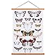 Ywlake A3 Posterleiste Posterschiene Posterleisten, Magnet Magnetische Holz Poster Aufhänger Halter Rahmen Leisten Bild Bilder Bilderrahmen Bilderleiste 30x40 30x30 30x45 (30,5cm, Teak)