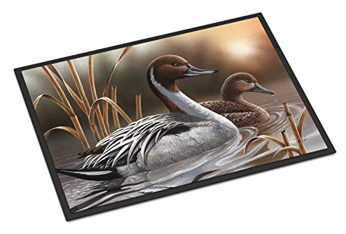 Caroline's Treasures PTW2060MAT Pintails Doormat 18x27 Front Door Mat Indoor Outdoor Rugs for Entryway, Non Slip Washable Low Pile, 18H X 27W