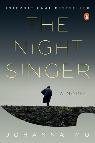 The Night Singer view 2