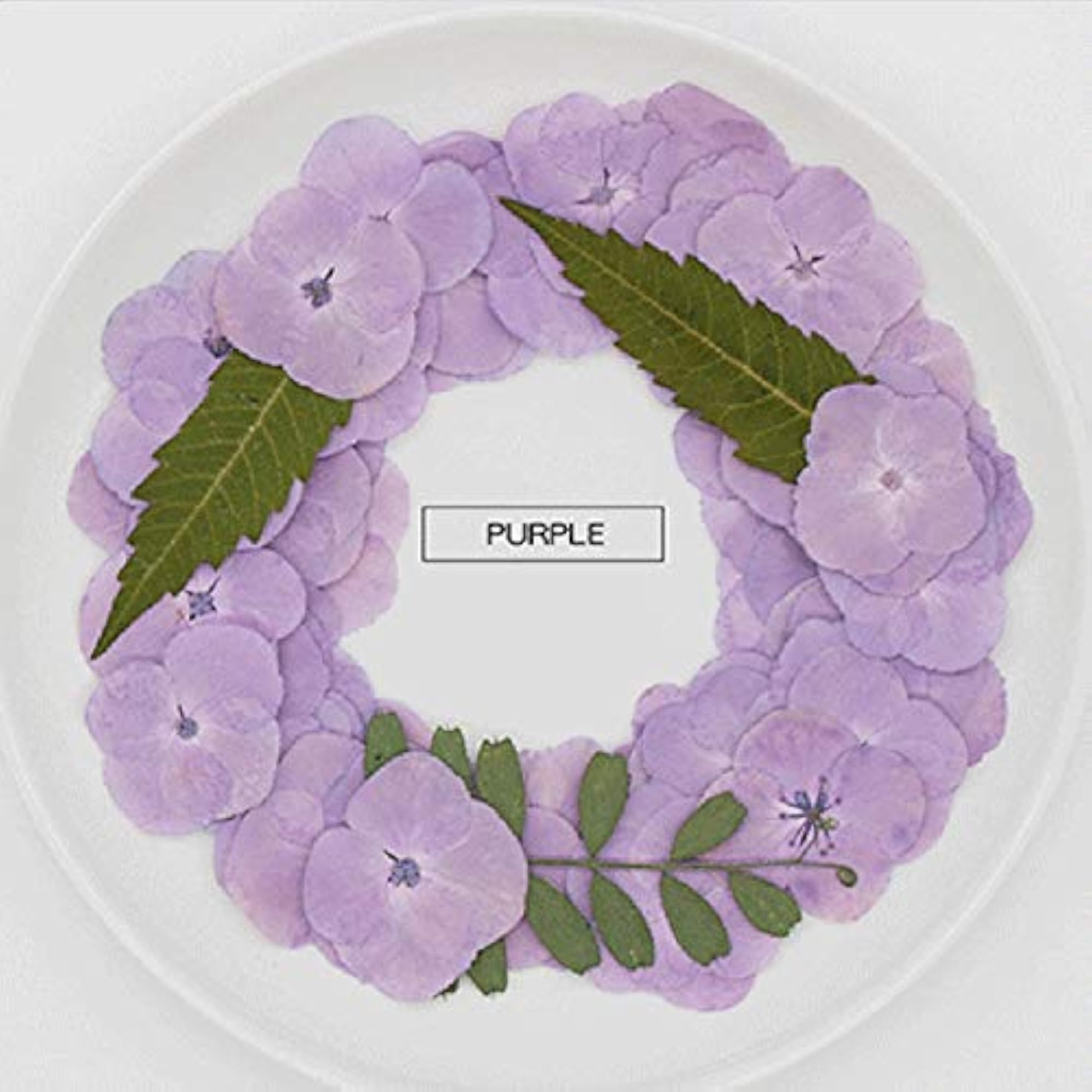 60PCS Pressed Hydrangea Flower DIY Craft Supplies