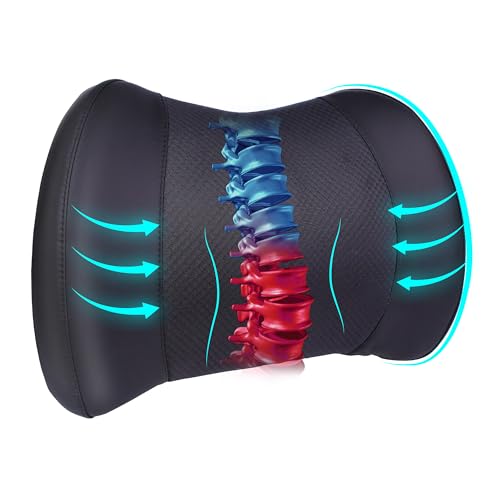 Lofty Aim Lumbar Support Pillow: Memory Foam Lumbar Pillow for Lower Back Pain Relief - Car Back Cushion for Driving - Lumbar Support for Car-Office Chair, Wheelchair - Black