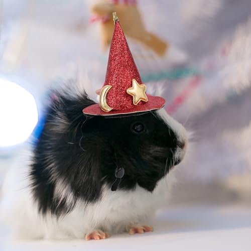 HEALEEP Adorable Red Plush Pet Hat for Chinchillas and Guinea Pigs, Lightweight and Adjustable Design, for Halloween and Easter Costume Accessories — view 4