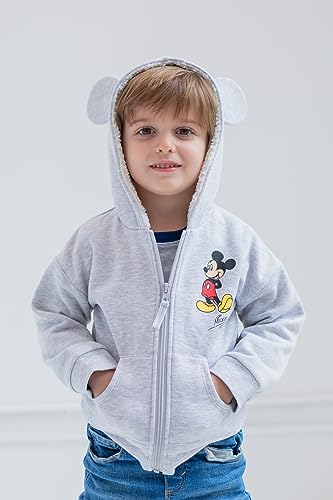 Disney Mickey Mouse Minnie Mouse Lion King Simba Fleece Zip Up Hoodie Newborn to Toddler2