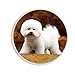 Oryginalne pudełko MDF okrągły magnes na lodówkę z Bichon Frise 1