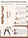 TOPARCHERY recurve Bow 60