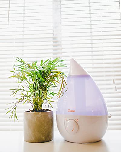 Crane Ultrasonic Cool Mist Humidifier, Filter-Free, 1 Gallon, For Home Bedroom Baby Nursery And Office, White #TOP7