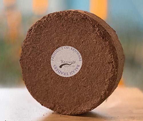 Image of BALAJI TRADING COMPANY Cocopeat /Agropeat Disc for Gardening and Plants (100gm) High E.C. (expands to 400 GMS)