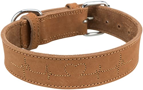 TRIXIE Rustic Fettleder-Halsband - Größe M - Halsumfang 38 - 47 cm - kehlkopfschonender D-Ring - braun - 19015