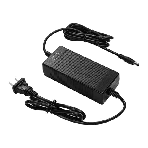 Fuente de alimentación de 60W y 12V 5A con doble cable de escritorio 1