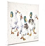 wrendale designs stampa su tela quadrata bianca da 20 centimetri quacker