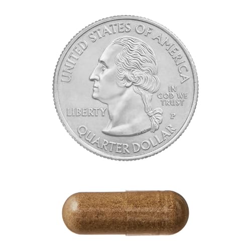 Generic Spring Valley Echinacea Immune Health Dietary Supplement Vegetarian Capsules thumb #4