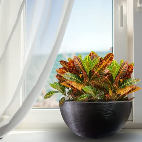 Elly Décor Bowl Planter 28X13 In. Big Bowl Pot Stripped Design Decorative For Indoor And Outdoors Plants Usefull Bowl Flower Pot Chocolate #TOP6