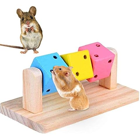 Besimple Wooden Hamster Chew Toys Cover