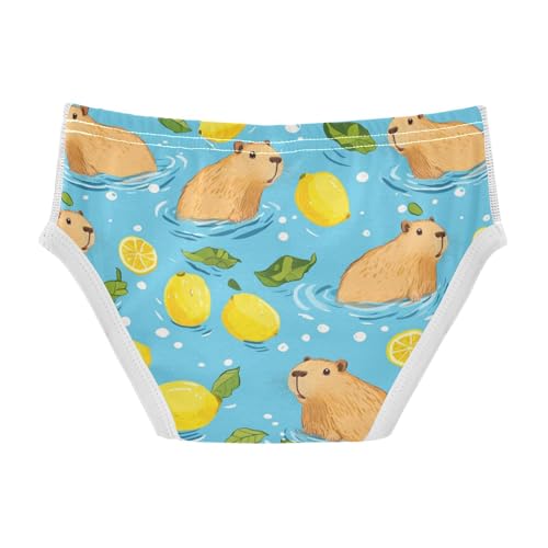 Wusikd Capybaras Swimming Boys' Underwear Cotton Lemon Boys Briefs Soft Toddler Underwear 2T2