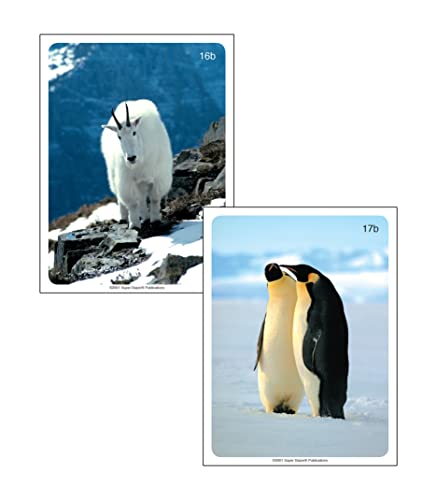 Super Duper Publications | Webber® Animals Photo Card Deck | Educational Learning Resource For Children #TOP3