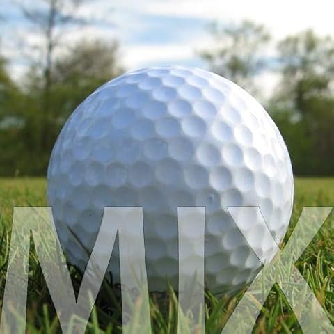 50 Marken Mix LAKEBALLS/GOLFBÄLLE - QUALITÄT AAA/AA Cover