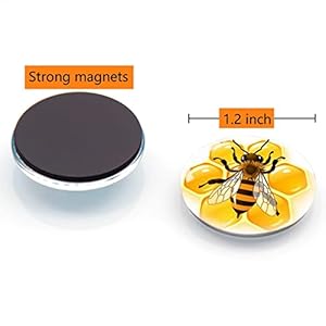 12pcs glass refrigerator magnets fridge magnets decoration for classroom locker office whiteboards cabinet dishwasher and magnetic surfaces eagle  urban country home decor