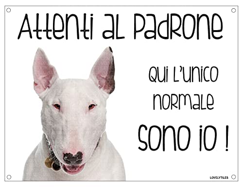 BULL TERRIER Attenti al padrone qui l'unico normale sono io! CANE CARTELLO TARGA IN METALLO (15X20)