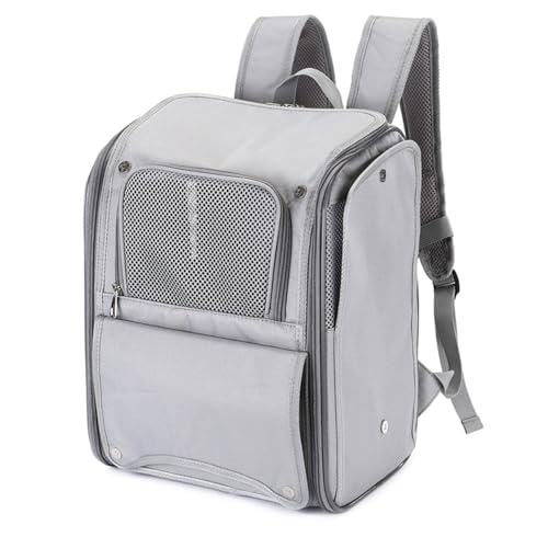 LpL[obO ybg ^Lp L[obOybg bV ʋC  gт₷  킢  dԈړ h hЊQp bN Oybgpi Lp 39*23*30cm