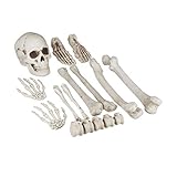 halloween deko basteln für kinder Vielseitig: Als Tischdeko für die Halloweenparty, Halloweendeko für den Garten oder zum Ausgraben