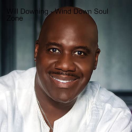 Will Downing - Wind Down Zone cover art