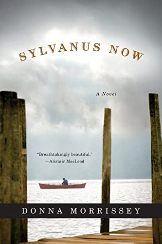 Sylvanus Now view 2