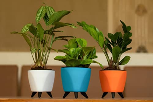 Image of Garden Art (Pack of 3 Indoor Outdoor Self Watering Planter Home Living Room Office Tabletop Decorative Plastic Flower Pot 5.1 Inch (Purple, 3) PPLAPL