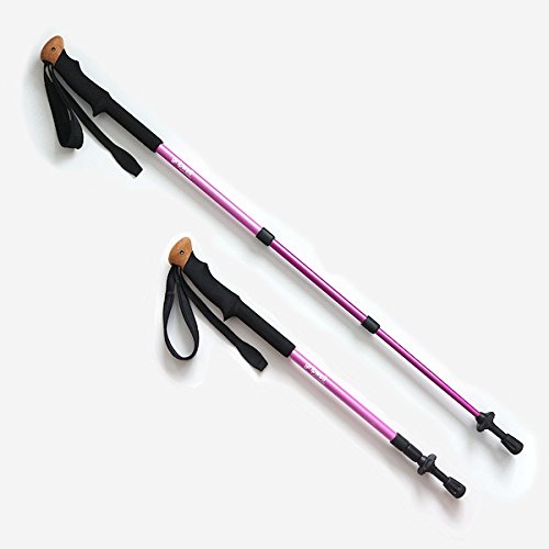 2017 GRIPWELL　GEM CARBON【 ジェムカーボン 】（登山用トレッキングポール) (ローズ)