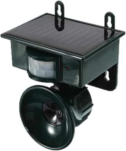 Eiuuioj \[[gފAlY~ALAA () [sAi]