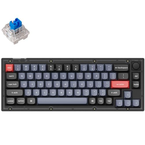 Keychron V2 QMK/VIA Custom Wired Mechanical Keyboard, 65% Layout Programmable Marco with Hot-Swappable K Pro Blue Switch, RGB Backlit Keyboard for Mac Windows Linux (Translucent,Knob Version)