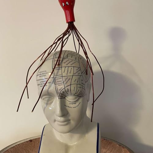 Laurie Gardner - Wildly Curious