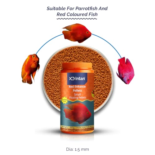 Image of Intan Red Enhance Pellets (Small 1.5mm Floating) | 450gm - Highly Nutritious Ornamental Fish Food for Parrotfish & Red Coloured Fish | Growel Feeds