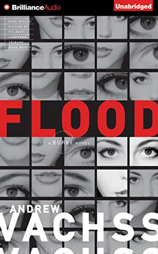 Flood 1501275402 Book Cover