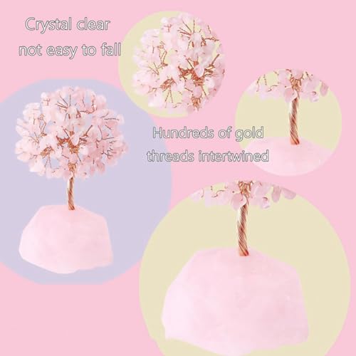 Arboles Decorativos, Home Imagen adicional