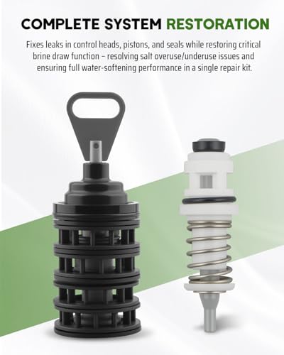 Kit de reconstrucción para ablandador de agua Fleck 5600SXT miniatura 6