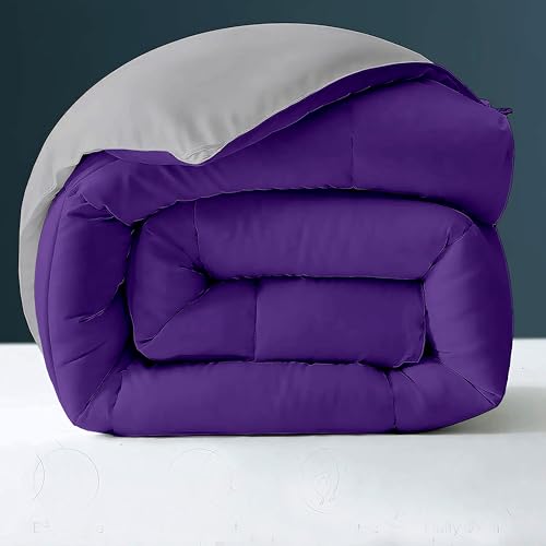 Image of Day Care - 400 GSM Hotel Quality-Down Alternative Reversible Comforter (92 inch x 106 inch Inches /228cm x 228cm) - Comforter King Size|Purple /Silver