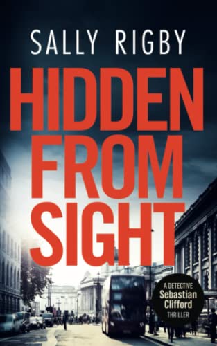 Hidden From Sight view 2