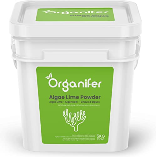 Organifer Polvo Cal De Algas 10 Kg