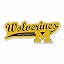 Michigan Wolverines Distressed