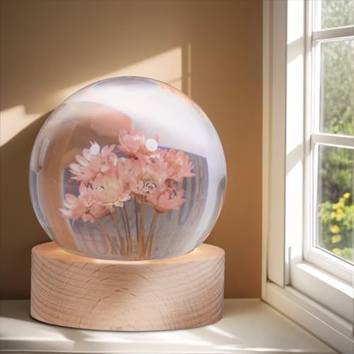 Image of Daisy Lamp,2.4-Inch Flower Crystal Ball Night Light, Real Daisies Inside with Wood Base, Warm Bedroom Glow (Daisy)