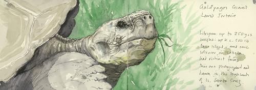 A Galápagos Sketchbook