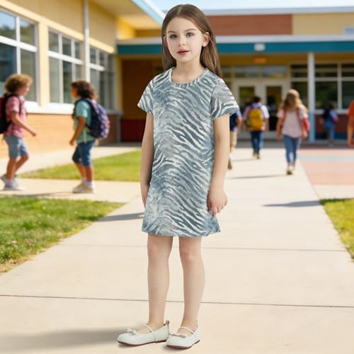 Vestido de rayas con estampado de cebras azul y gris ropa de niña suave de primavera 3