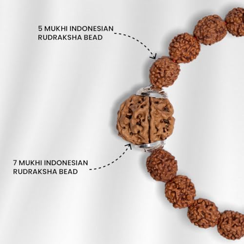 Image of 7 Mukhi Rudraksha Bracelet for Men and Women | Lakshmi Bracelet | Original Lab Certified Nepal Rudraksha Educating People About Rudraksha for Over 20 Years