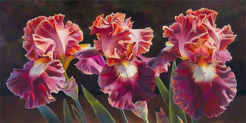 Peinture Diamant Kit Complet 5D grand format 70x40 broderie fleurs
