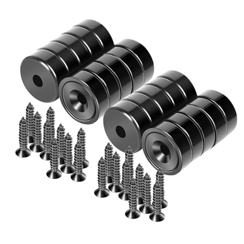 Neosmuk Magnete Schwarz, 20 Stück