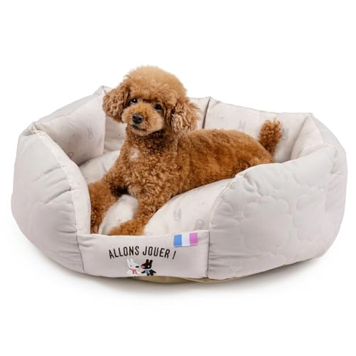 ybgp_CX  ybgxbh ybg\t@[ ybgNbV Q L q ^ 􂦂 y TƃKXp[ LeBO Jh[ ybgp_CXcX72XܓWJ2025/10/1_z 