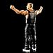 Mattel WWE Pat McAfee Basic Action Figure, 10 Points of Articulation & Life-like Detail, 6-inch Collectible